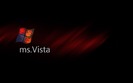 vista wall (106)
