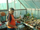 Herczeg Istvan