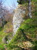 DSCF0263