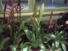 Imag018