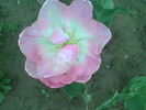 Imag042