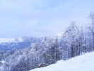 DSCF6373