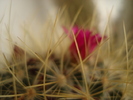 DSC03228