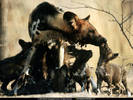 National Geographic Wallpapers 029