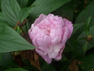 DSCI0519