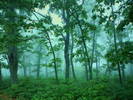 03SC008