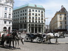 IMG_0280