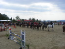 Picture 152