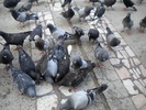 DSCN0117