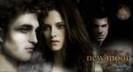 edward and bella