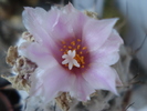 DSC01908