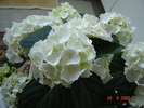 DSC02634
