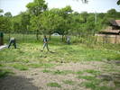 16.05.2009 005