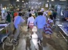 bscap0441