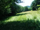 DSCF2641