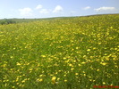 DSC00304