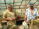 videok 067