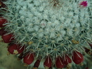 DSC00941