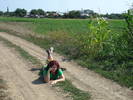 OBOSEALA CAND ITI VINE..........