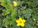 DSCN0273