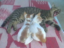 Imag082