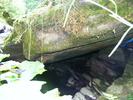 DSCF5133