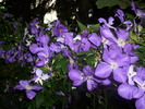DSCI0864