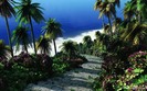 Garden-Of-Eden