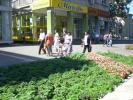 IASI 334