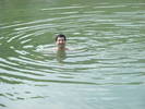 Picture 210