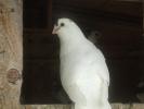 DSCF0873