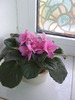 DSCF5825