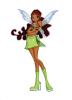 winx 6