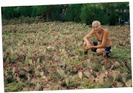 scan0007