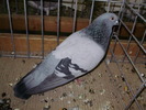 12047a ac 1