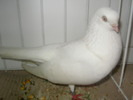 SANY0089