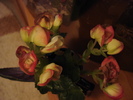 DSC09783