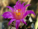 DSC03296
