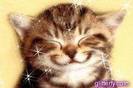 kitty_smile
