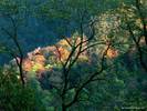 Autumn Light, Great Smoky Mountains, Tennessee