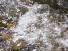 DSCF1073