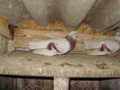 P9061602