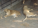 Picture 035