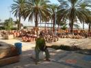 216 Israel - (in drum spre Marea Moarta)