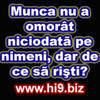munca nu a omorit niciodata pe nimeni dar dc sa risti