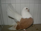 SANY0127