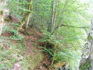 DSCF5319