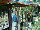 DSC06196