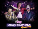 jonas-conciert-the-jonas-brothers-9461424-1024-768