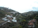 DSCN2463